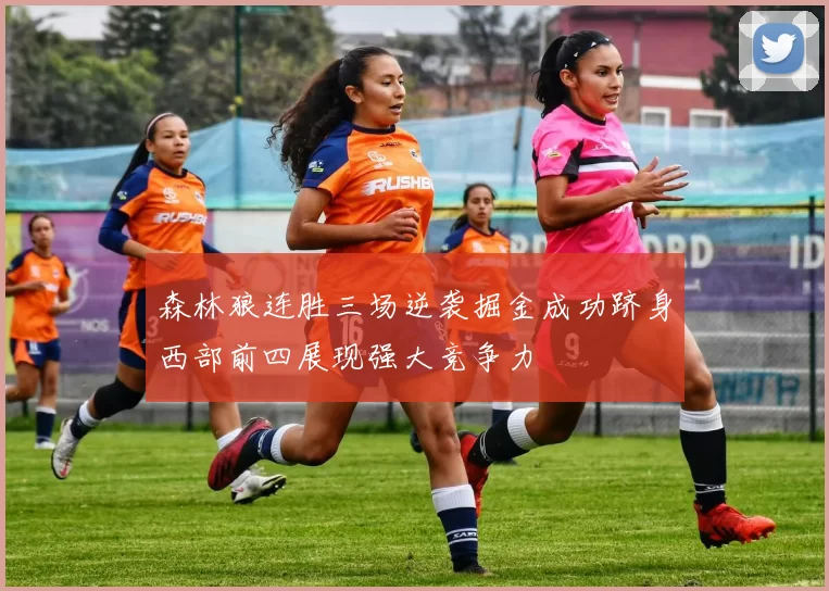 森林狼连胜三场逆袭掘金成功跻身西部前四展现强大竞争力